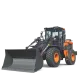 Develon DL250-7